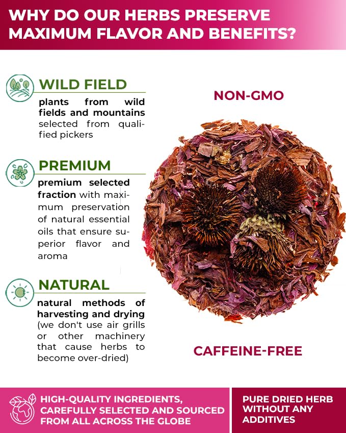 Image of 4 oz. Echinacea Root Herbal Tea (Crataegus L.) - 113g Dried Echinacea Root Tea Raiz de Equinacea