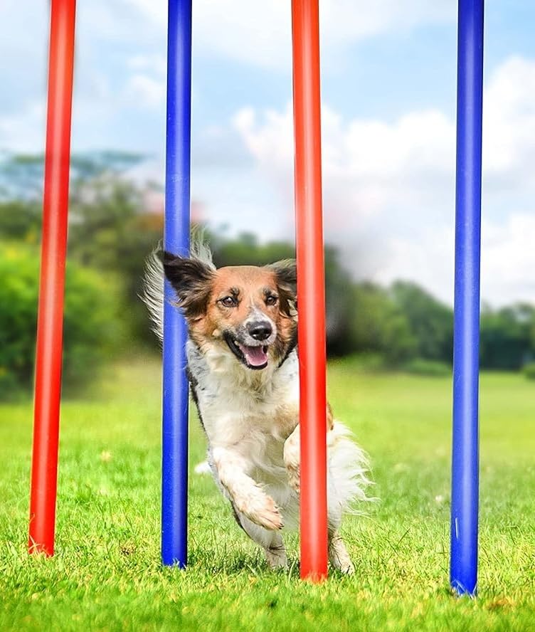 Unibos | Pet Agility Training Equipment Dog Play Run Jump Obedience Training Set Adjustable Weaves Poles Storage Bag for Pet Dogs Outdoor Games Exercise