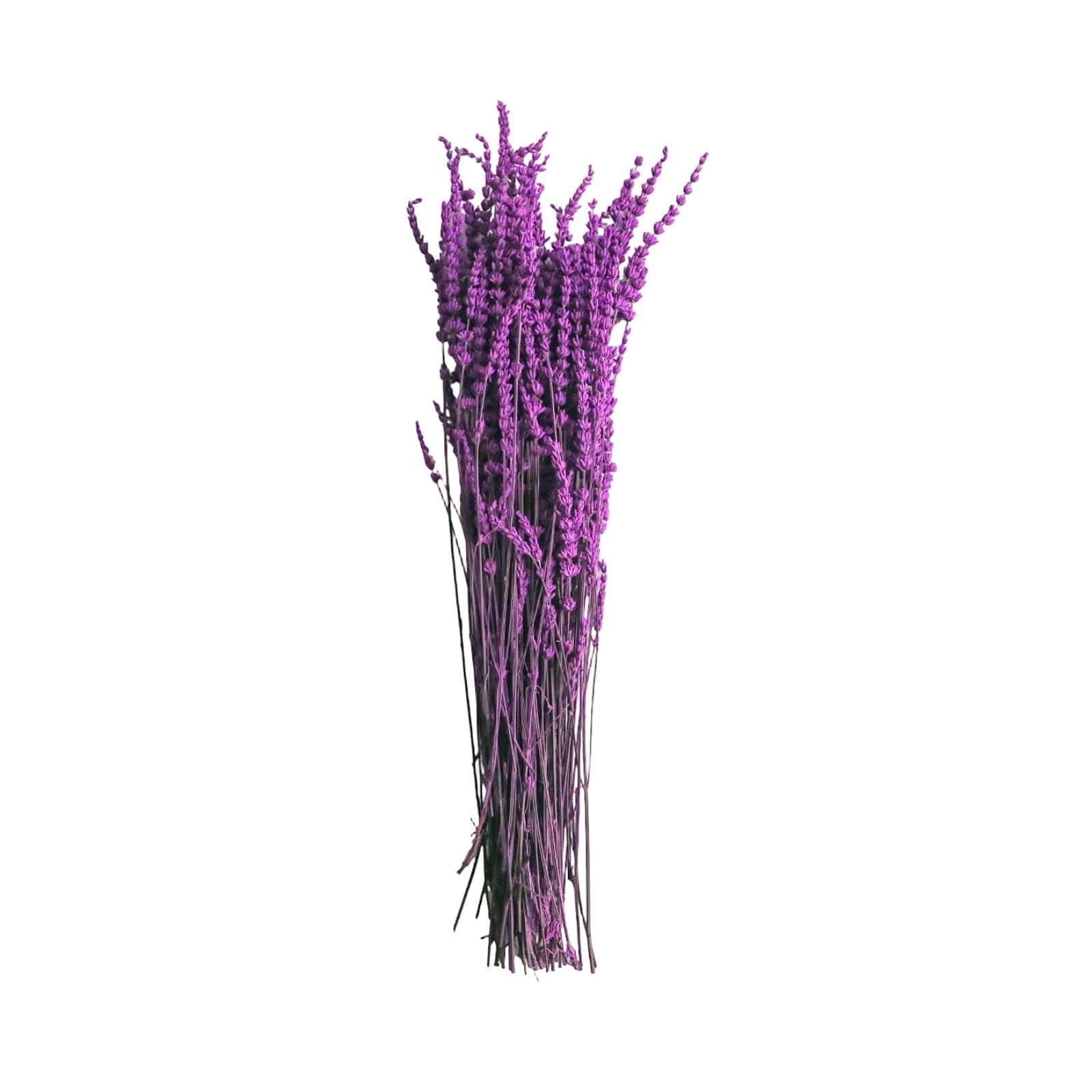 Preserved Lavender Bouquet Real Floral Bundle 19.69in Natural Decor for Home Wedding Party Centerpieces and Vases Lavender Bouquet Vase Filler Wedding Centerpiece Preserved Flower Arrangement