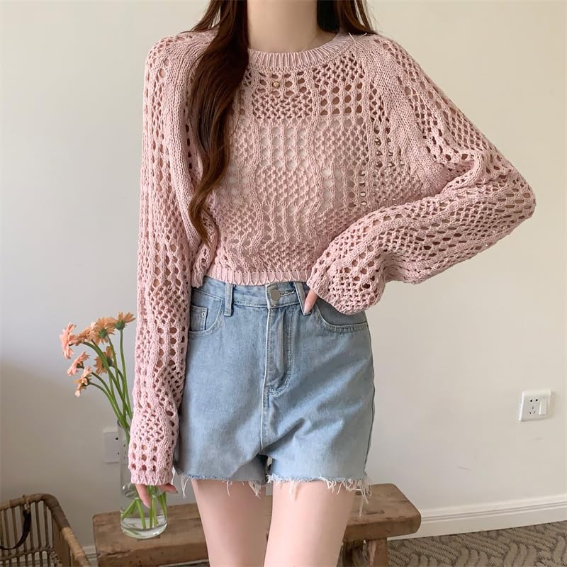 Image of ICW Women's Knitted Crochet Transparent Long-Sleeve Hollow Out Sheer Pullover Top T-Shirt Sweater Dn61 (One Size Fit XS-S-M-L)