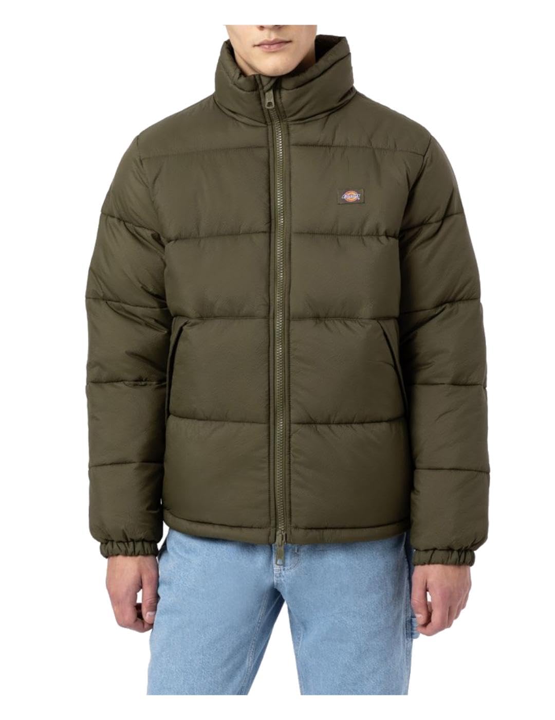Dickies Waldenburg Daunenjacke für Herren, Grün, Modell DK0A4XP2, synthetisch, militär-grün, XS