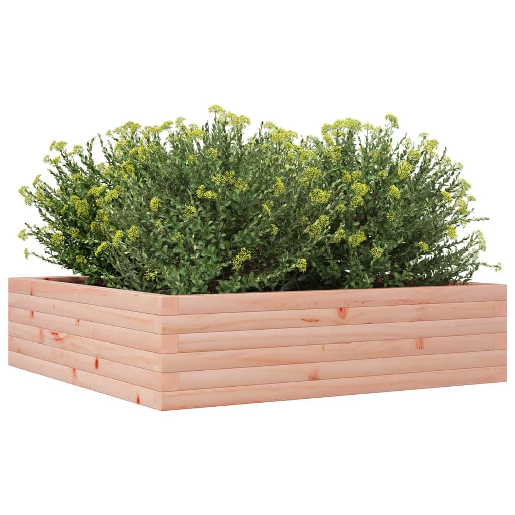 Donica daglezja 90 x 90 x 23 cm lite drewno