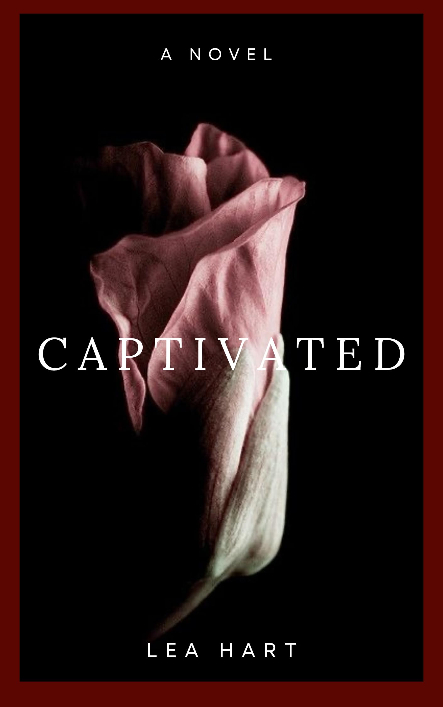 Captivated (Cupid Series Book 1)