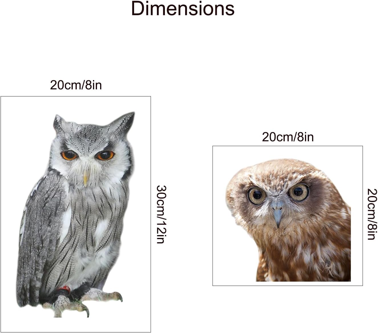 2-Piece 3D Realistic Owl Sticker Set - 20x20cm & 20x30cm