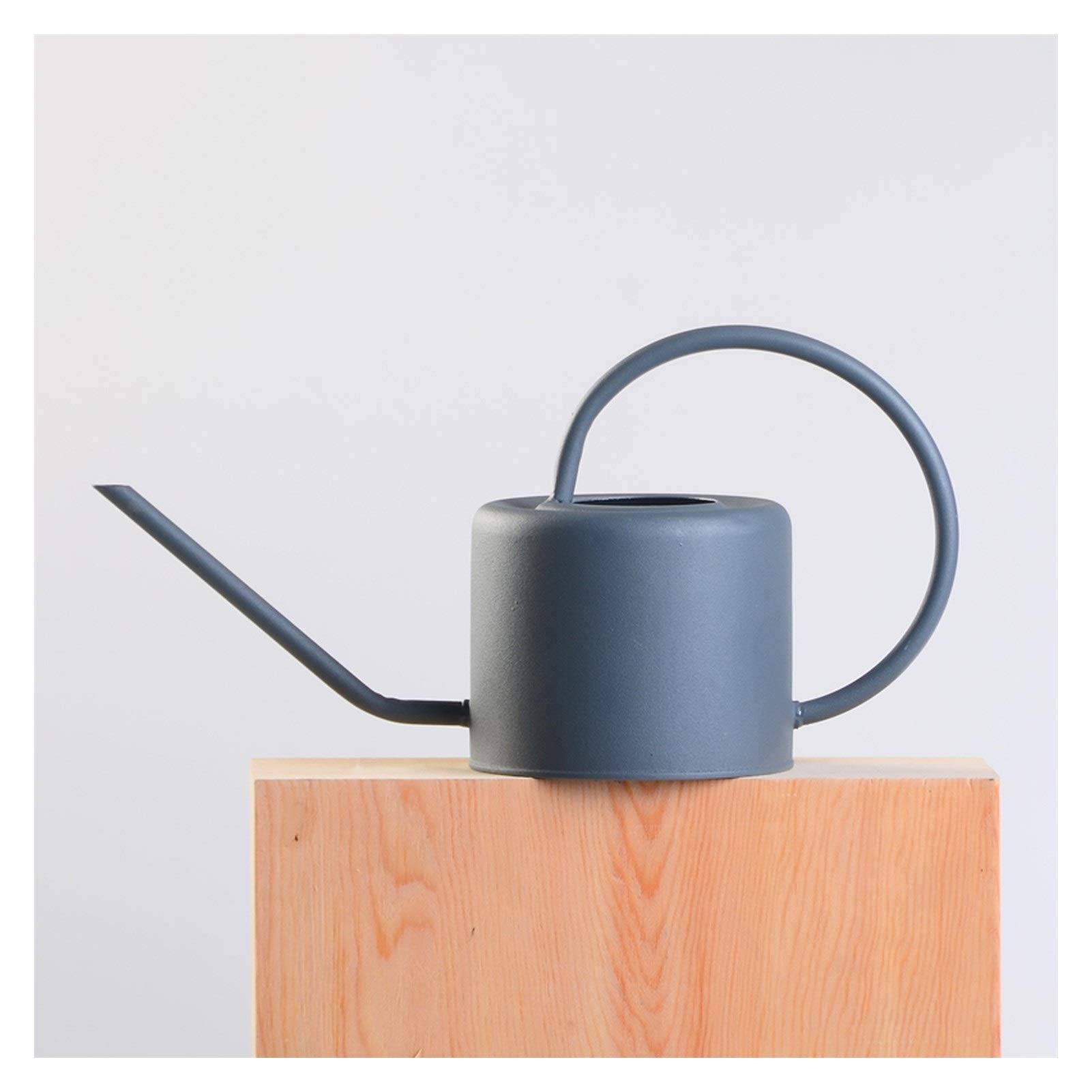 Arrosoirs galvanisés Arrosoir de Style Moderne avec poignée, pour Plantes d'extérieur et d'intérieur Bec verseur d'eau Gushe (C)