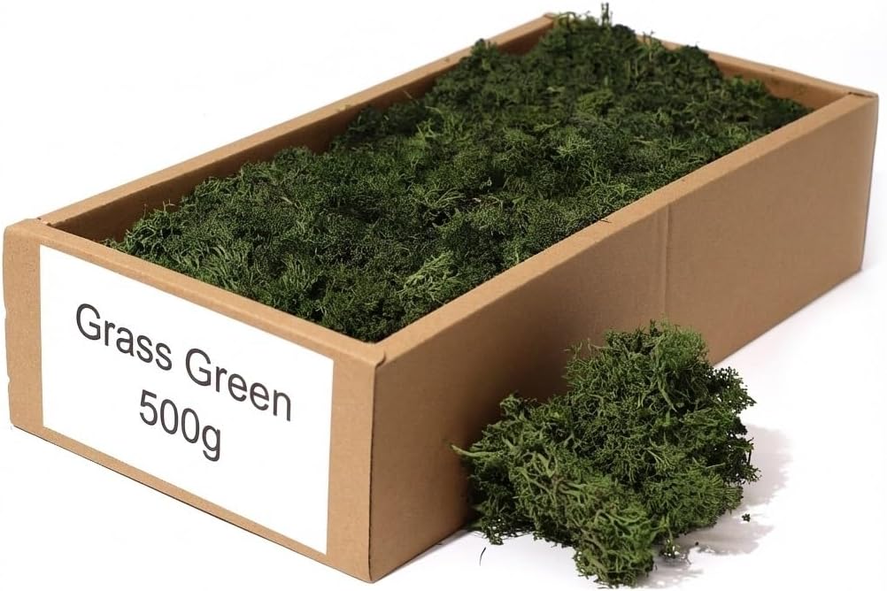 Stabilised Reindeer Moss – Preserved Lichen for Model Scenery, Railway Landscapes, Terrariums, Floristry & Art Crafts – Soft Texture & Maintenance Free (Grass Green)