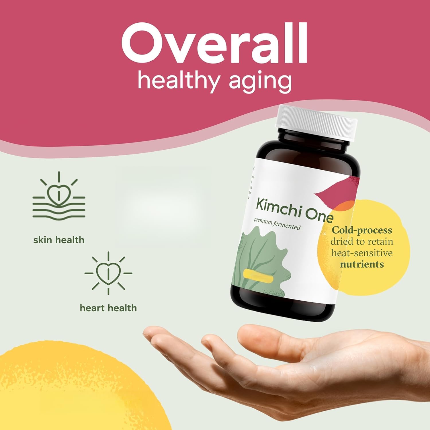 Probiotico in polvere per la salute dell'intestino e il benessere generale | Polvere di kimchi fermentato con probiotici vivi, enzimi digestivi e antiossidanti