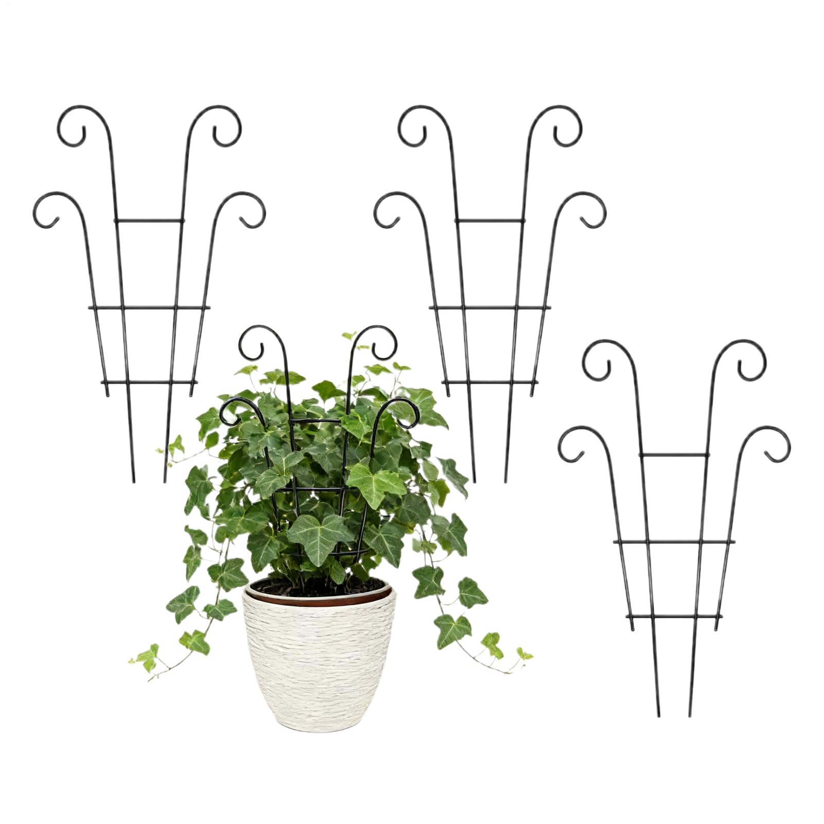 Treillis pour fleurs de monstera piquets d'escalade intérieurs en métal