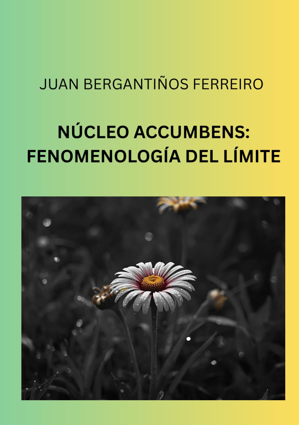 Núcleo accumbens: Fenomenología del límite