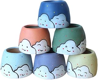 Hemoton Hoog kwaliteit Recipiente de vaso de plantas suculentas decorativas com 6 unidades de vaso de flores de desenho animado (cor aleatória)