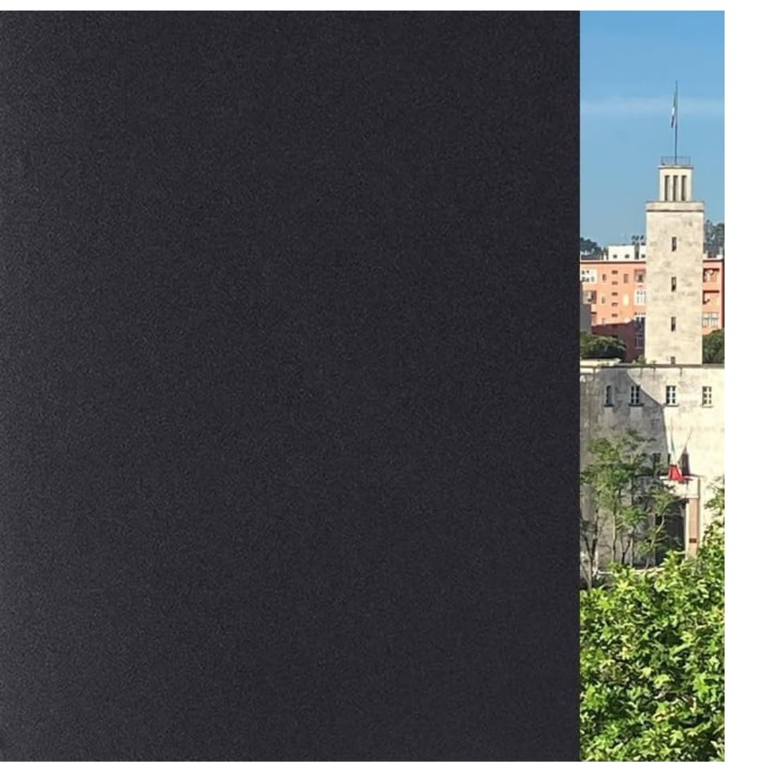Película Negra para Vidrio TAMAÑOS Grandes (Negro, 120 x 120 CM) Opaca para Ventanas Privacidad Autoadhesiva SIN Pegamento Anti-UV SIN residuos Fácil Aplicación Ducha Adhesión Estática Removible