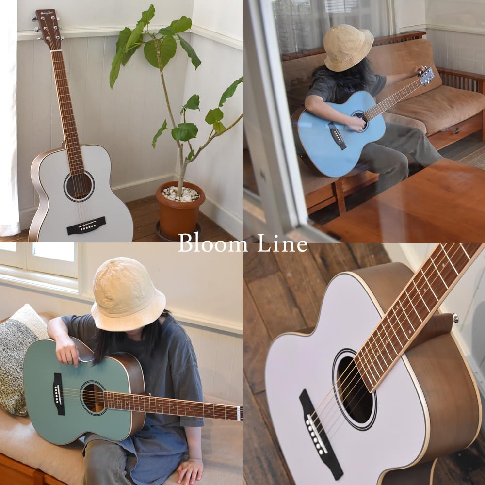 Amazon | HONEY BEE アコースティックギター フォークギタータイプ F