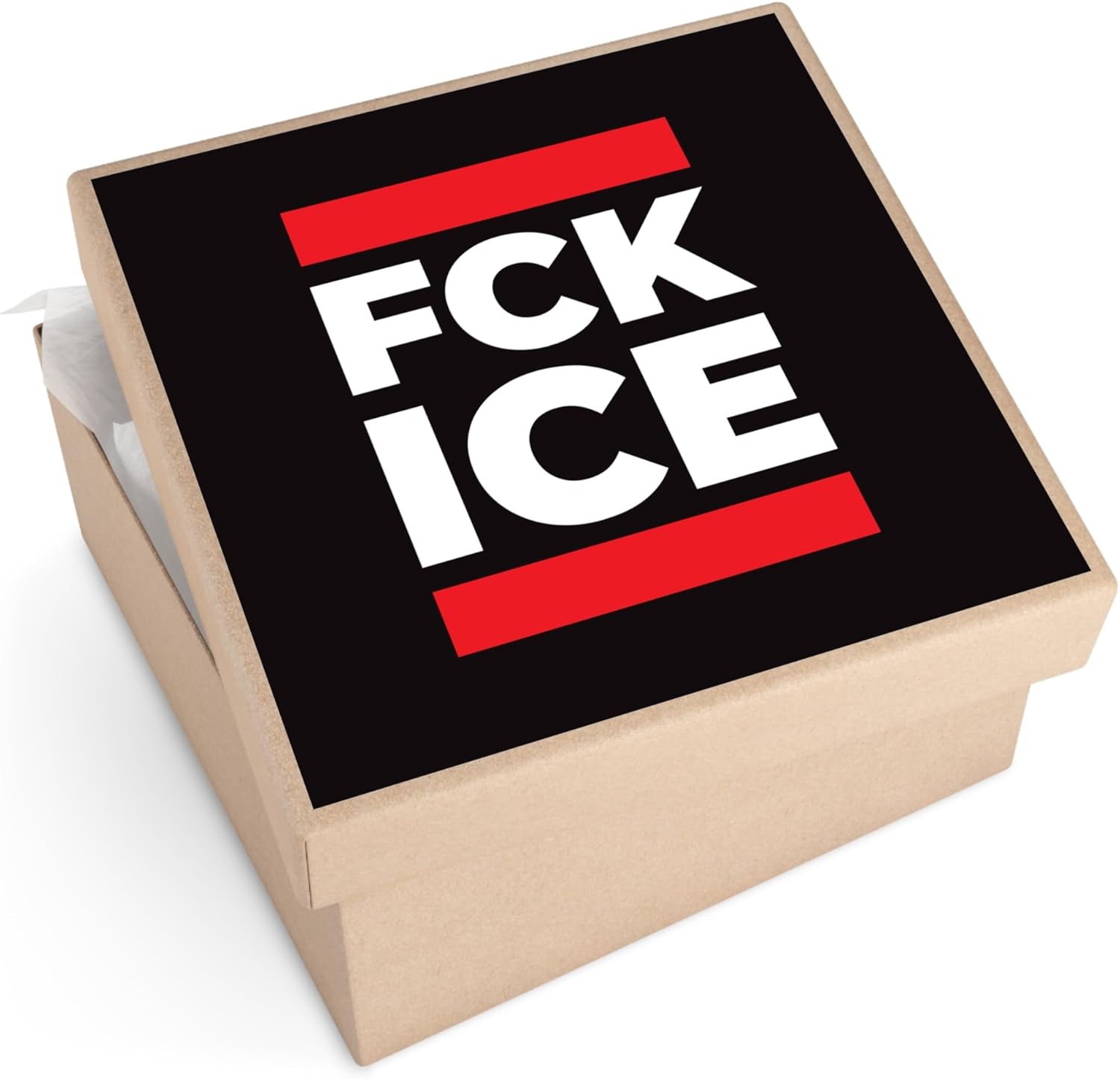 FCK ICE - Anti-Nazi Protest Decal, Activist Vinyl Sticker, Laptop Sticker, Bumper Sticker, Skateboard Sticker, Rebellion