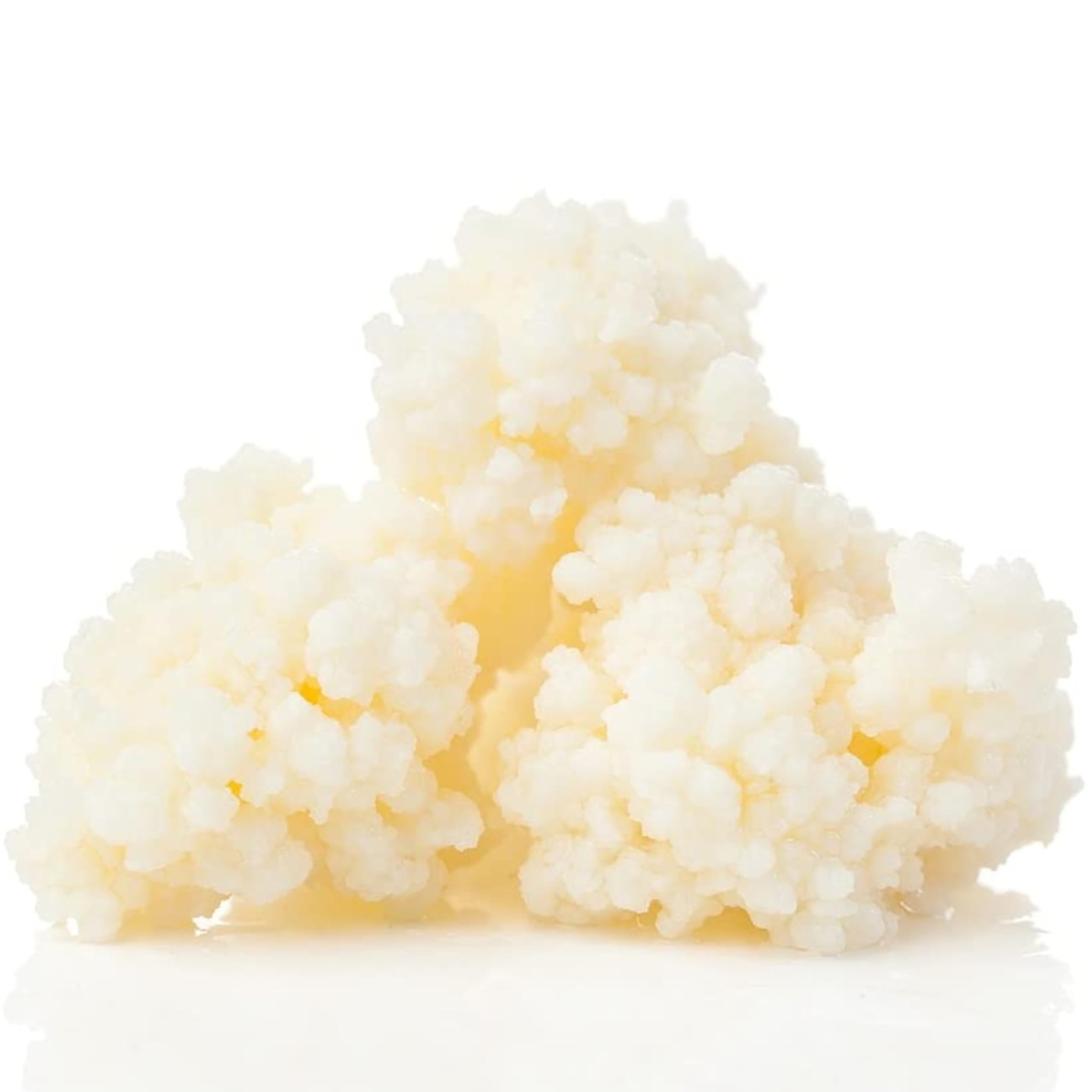 Curly Superfood Bio Kefir 10g - Kefirknollen aus deutscher Herstellung zum einfachen Herstellen von Milchkefir - Frischer Kefirpilz inkl. ausführlicher Anleitung