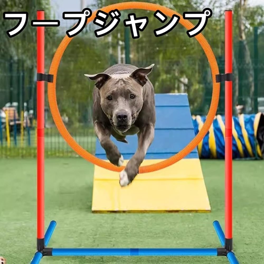Amazon | Vzqr 犬用アジリティトレーニング スラローム障害物セット
