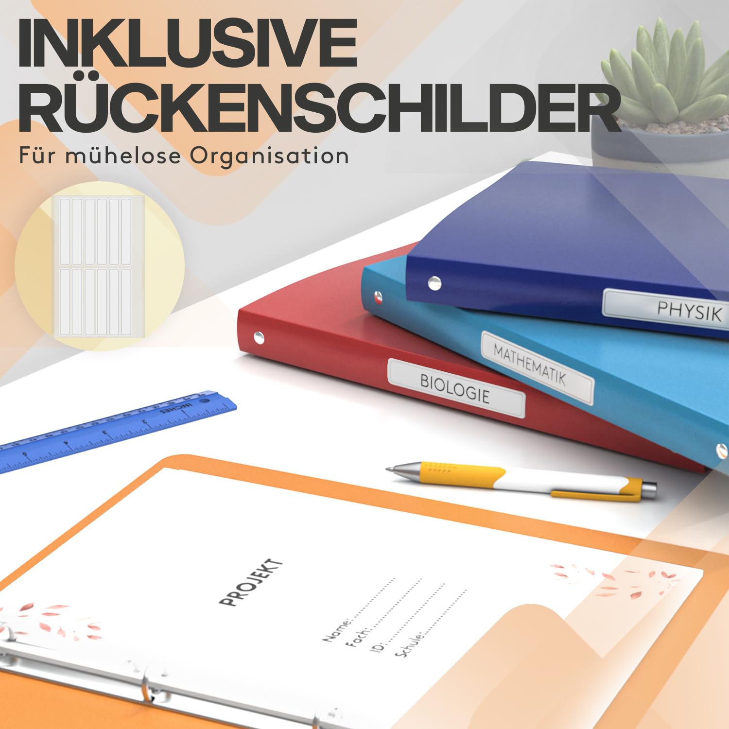 ACROPAQ - 12 x Ringbuch A4 | 4 Ringen | Mit Rückenetiketten, Rückenbreite 2,5 cm, Farbbogen, Natur Farbkollektion - Ringhefter, Ringordner, Ordner A4 Schmal, Ringmappe A4, Schulordner