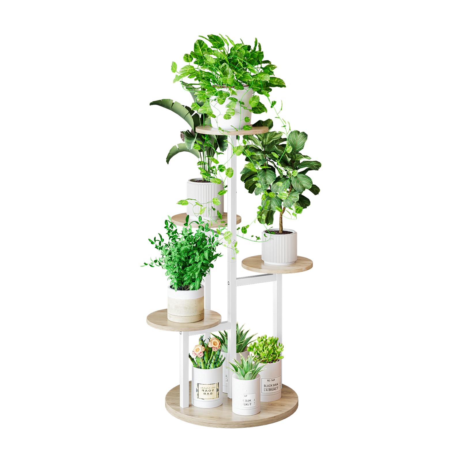 indoor live plants for sale 10 Pack Live Mini House Plants in 2” Pots, Indoor Plant Assortment main image 0