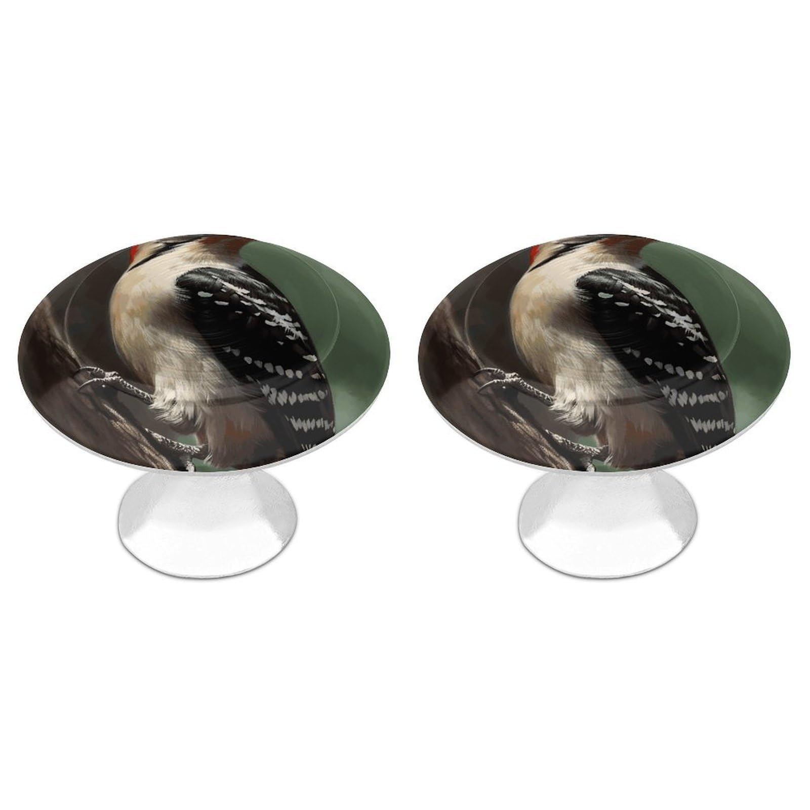 DWVTSLH Woodpecker Cabinet Handles 2 Pack Stainless Steel Kitchen Drawer Pulls with Installation Screws Round Dresser Drawer Knobs 1.1 Inch Modern Cabinet Hardware Door Handles
