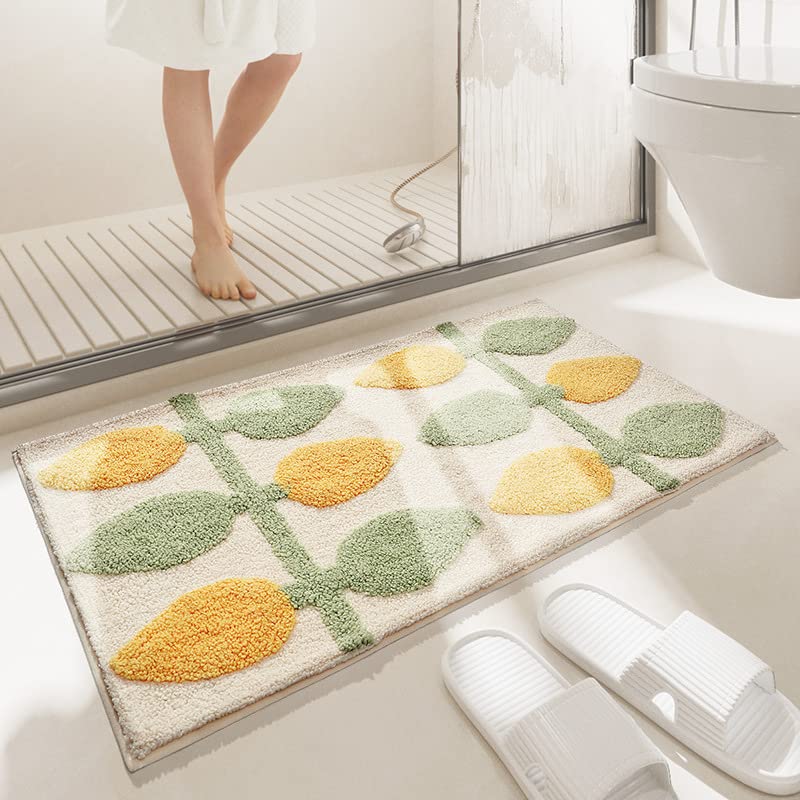 Tapis de Porte Intérieur Absorbant et Antidérapant Lavable en Machine
