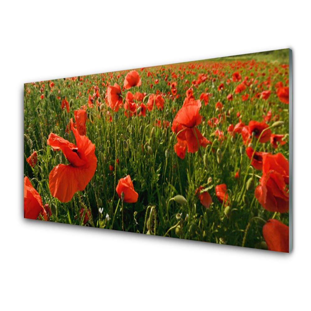 Impression sur verre trempé nature coquelicots tableau mural moderne 100x50