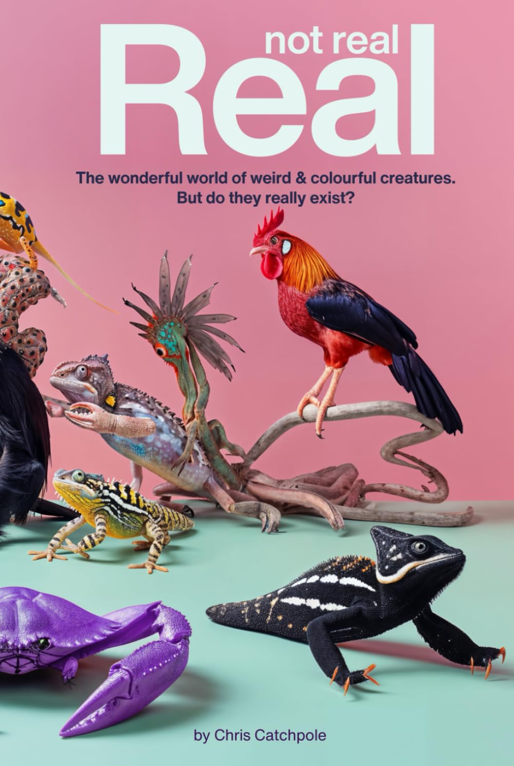 Real not real: The wonderful world of weird & colourful creatures. But do they really exist?