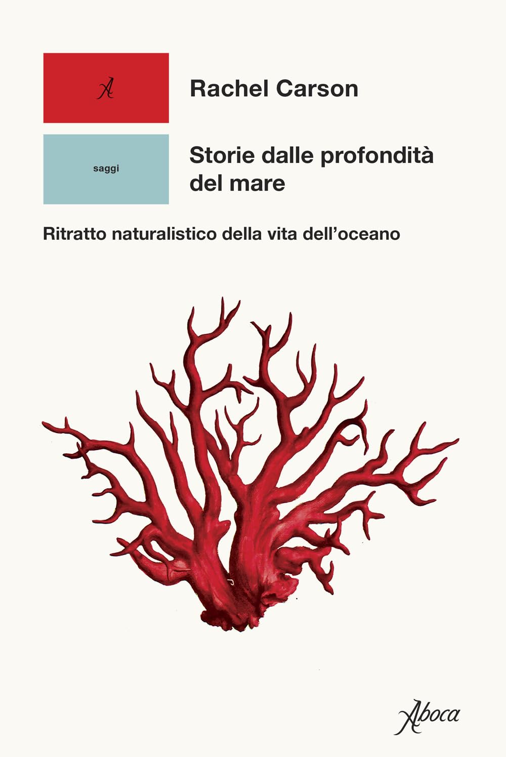 Storie Dalle Profondità Del Mare. Ritratto Naturalistico Della Vita Dell’Oceano - 4