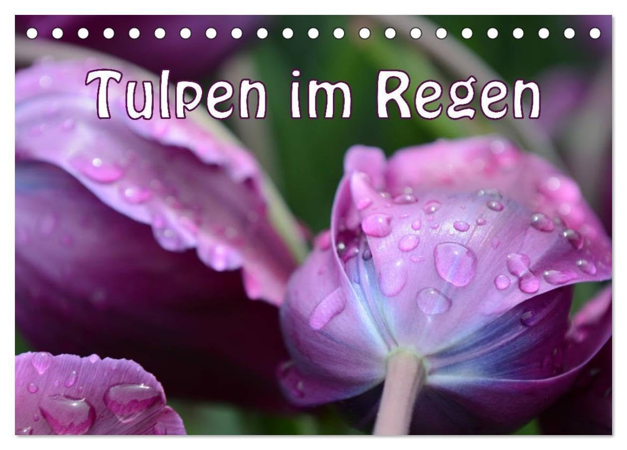 Tulpen im Regen (Tischkalender 2024 DIN A5 quer), CALVENDO Monatskalender: Tulpen im Regen - herrlich erfrischend und wunderschön (CALVENDO Natur)