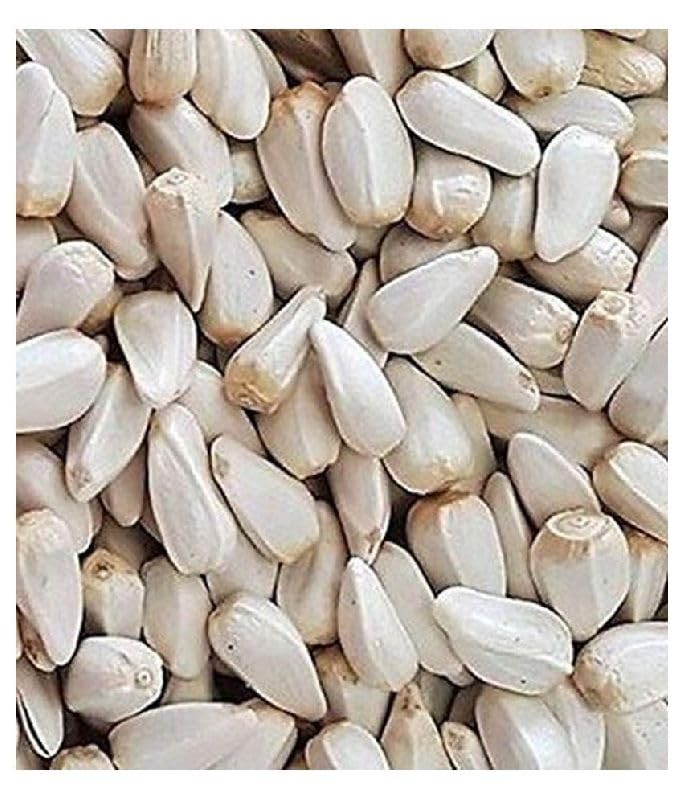 The Green View Saffola Seeds/Kusum Beej/Kusumulu Food for All Type of pet Birds Parrots Cockatiel Cocktail Budgies Cockatoo Exotic Birds Wild Birds-450gm. (B0D3T7JVV5) Amazon Price History, Amazon Price Tracker
