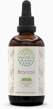 HerbEra Broccoli B120 Alcohol-Free Herbal Extract Tincture, Concentrated Liquid Drops Natural Broccoli Bao Zi Gan LAN, Brassica Oleracea 4 fl oz