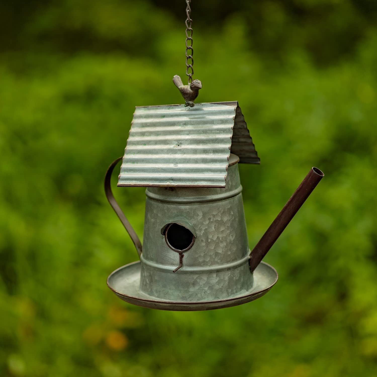 Hanging Metal Teapot Birdhouse/Feeder Decor (Oil Can Shape, Galvanized Finish)