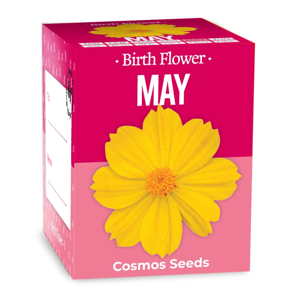 Gift Republic May Birth Flowers