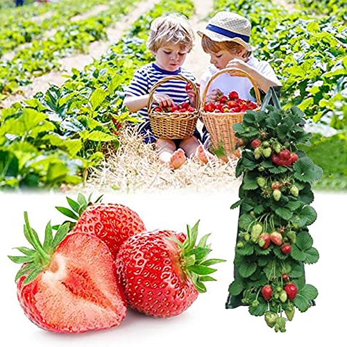 Vertical Garden Planter,Hanging Planter Bags Waterproof Wall-Mounted Felt Planting Grow Bags Outdoor Indoor Gardening Flower Container Plant Grow Bag For Flower Vegetable #TOP4