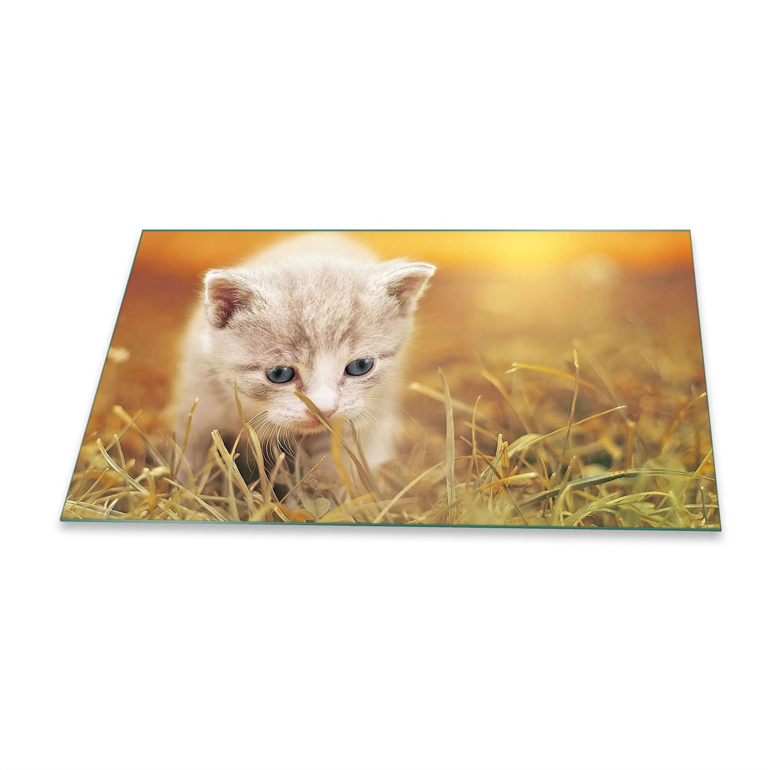 Piastra Copripiano Cottura In Vetro 90x52 Cm Con Stampa Gatto Beige - Multiuso Per Cucina
