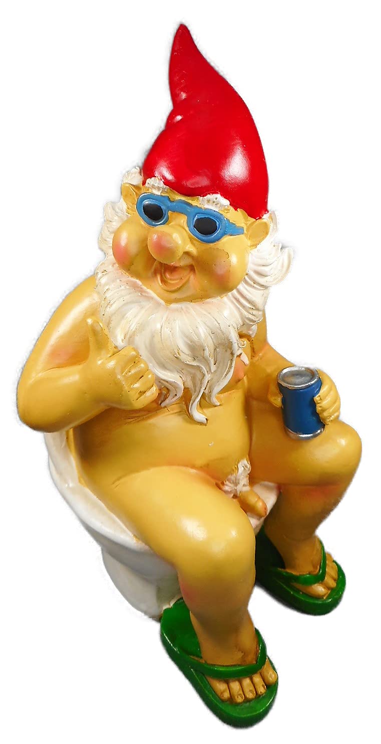Otte Dekofigur Gartenzwerg nackt auf Toilette WC 25 x 13 cm Dekofigur  Garten Zwerg Figur Deko GIK 4861 : Amazon.de: Garten