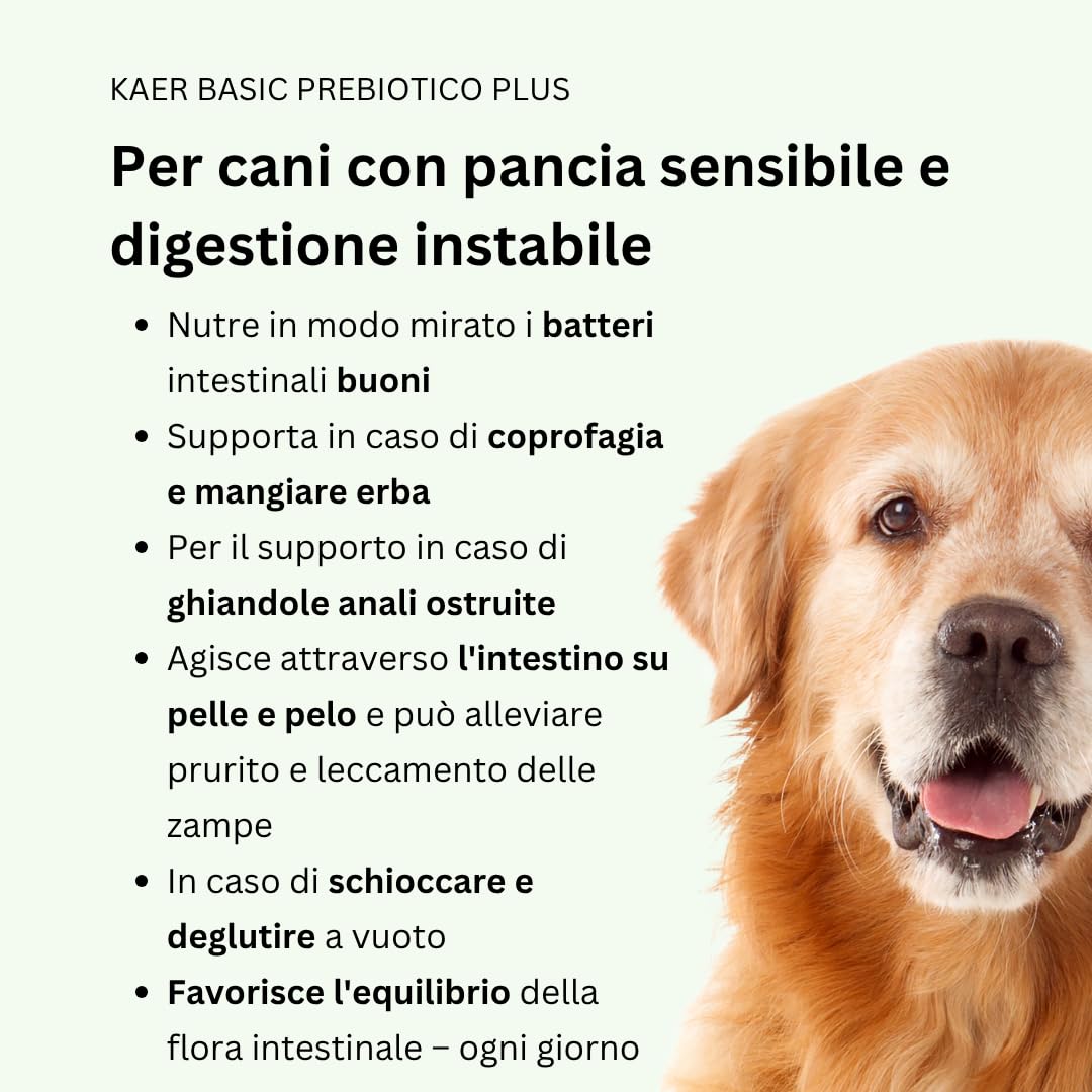 Prebiotici per Cani – Fermenti Lattici e Fibre per la Flora Intestinale, presso Prurito, Zampe, Ghiandole Anali e bruciore di stomaco, 150 Drops