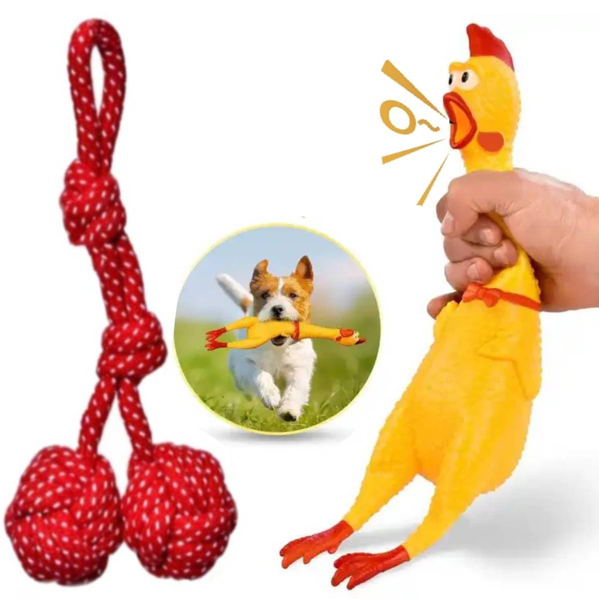 See full amazon price history chart for PETZLUV Puppies Combo Toys for Dogs Squeaky Chew Natural Latex Rubber Squeaky Chicken Toy (Large), Double Ball Durable Braided Cotton Rope Toys for Dogs - Pack of 2 PETZLUV Puppies Combo Toys for Dogs Squeaky Chew Natural Latex Rubber Squeaky Chicken Toy (Large), Double Ball Durable Braided Cotton Rope Toys for Dogs - Pack of 2 (B0CP3QSN2N) Amazon Price History, Amazon Price Tracker