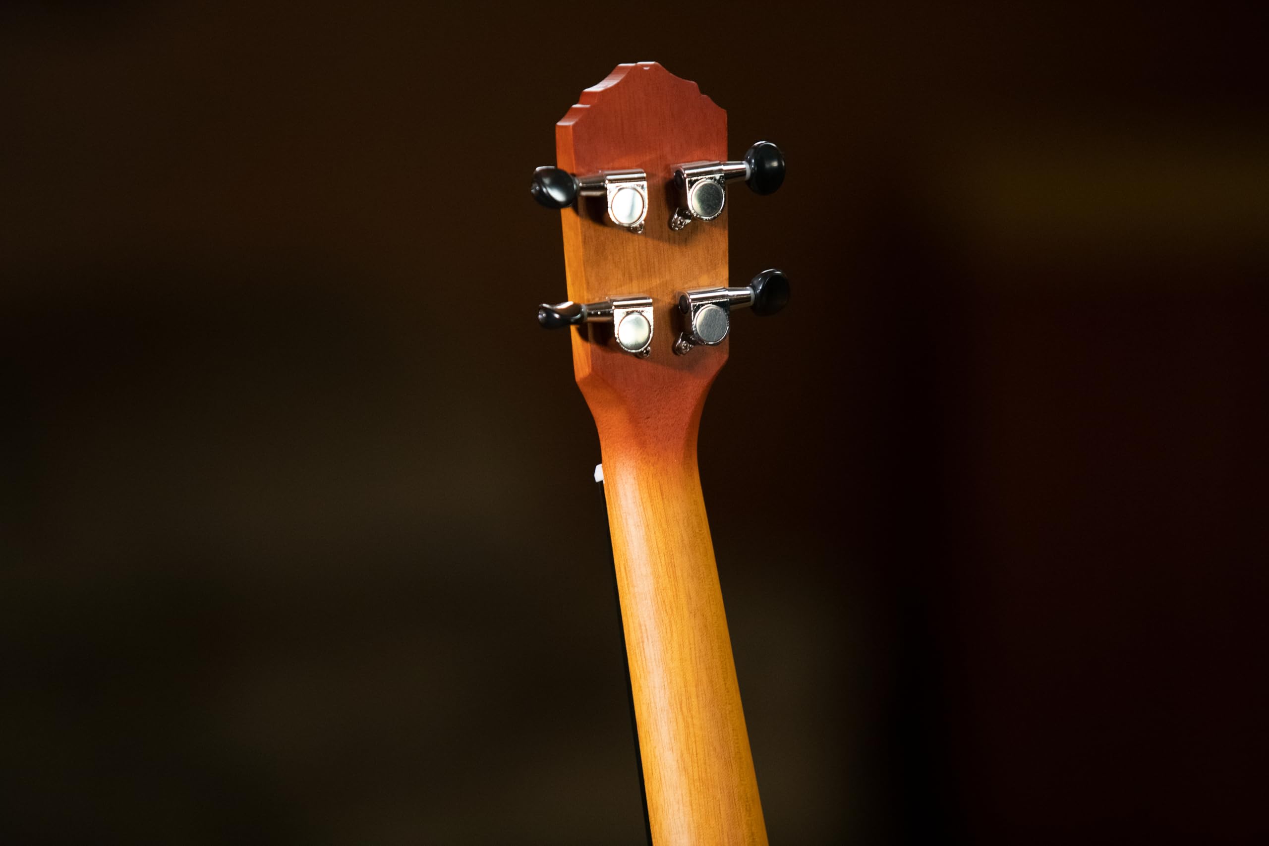 Ortega Guitars Akustyczne Ukulele Koncertowe – Seria Earth – Okoume, Kolor Brązowy (RUDAWN)
