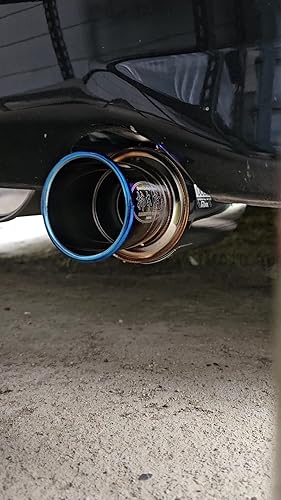 Amazon.co.jp: 柿本改 ( KAKIMOTO ) マフラー【 GT box 06&S