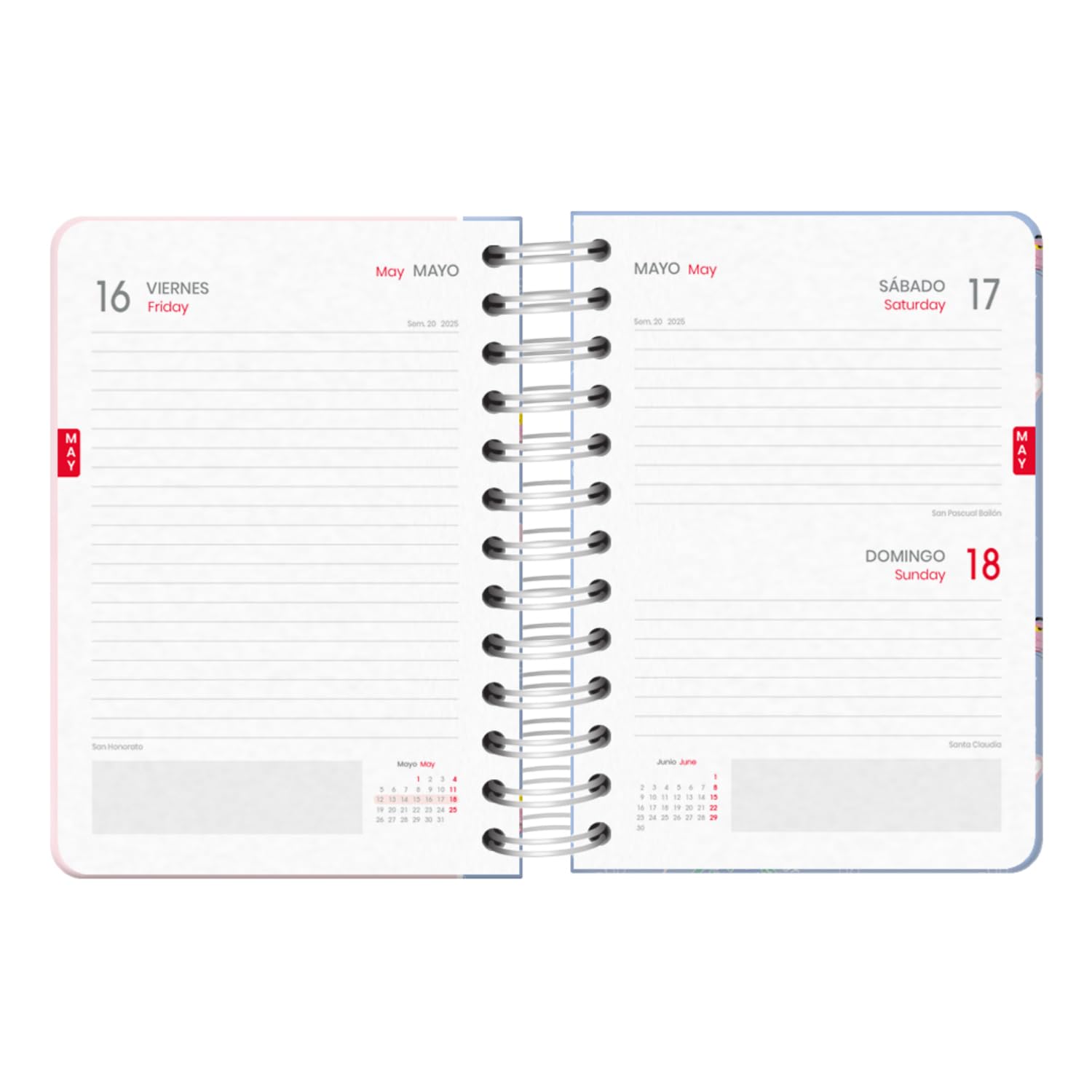 Dohe, School Diary 2024 2025, Day by Page, Size A6 (12 x 17 cm), Ring Closure and Rubber, Spanish and English - Image 2