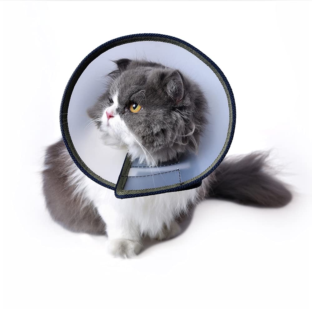 Pets Like Cat E Collar| Wound Healing Cat Cone E Collar (Size 2) for Large Adult Cats| Off-White Cat E Collar. (B09D3CRC5W) Amazon Price History, Amazon Price Tracker