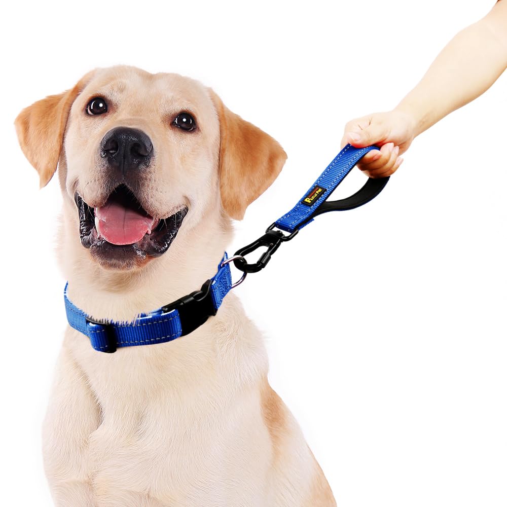 PLUTUS PET Short Dog Lead, Reflective Nylon Padded Handle, Strong Traffic Lead with Carabiner Clip - Image 2