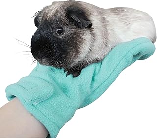 Yulokdwi Gants de Manipulation d'Animaux Anti-Morsures | Protection Griffures Chiens et Chats | Doux au Toucher Résistants aux Rayures pour Manipulation Sécurisée Reptiles Oiseaux Serpents Lézards