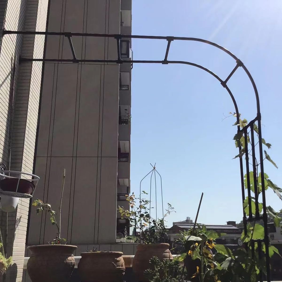 Arco a semicerchio in metallo per piante rampicanti, resistente alle intemperie, in acciaio, elegante design bianco, perfetto per decorazioni esterne (250 x 240 x 45 cm)