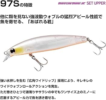 Amazon.co.jp: ダイワ(DAIWA) ショアラインシャイナーZ セットアッパー