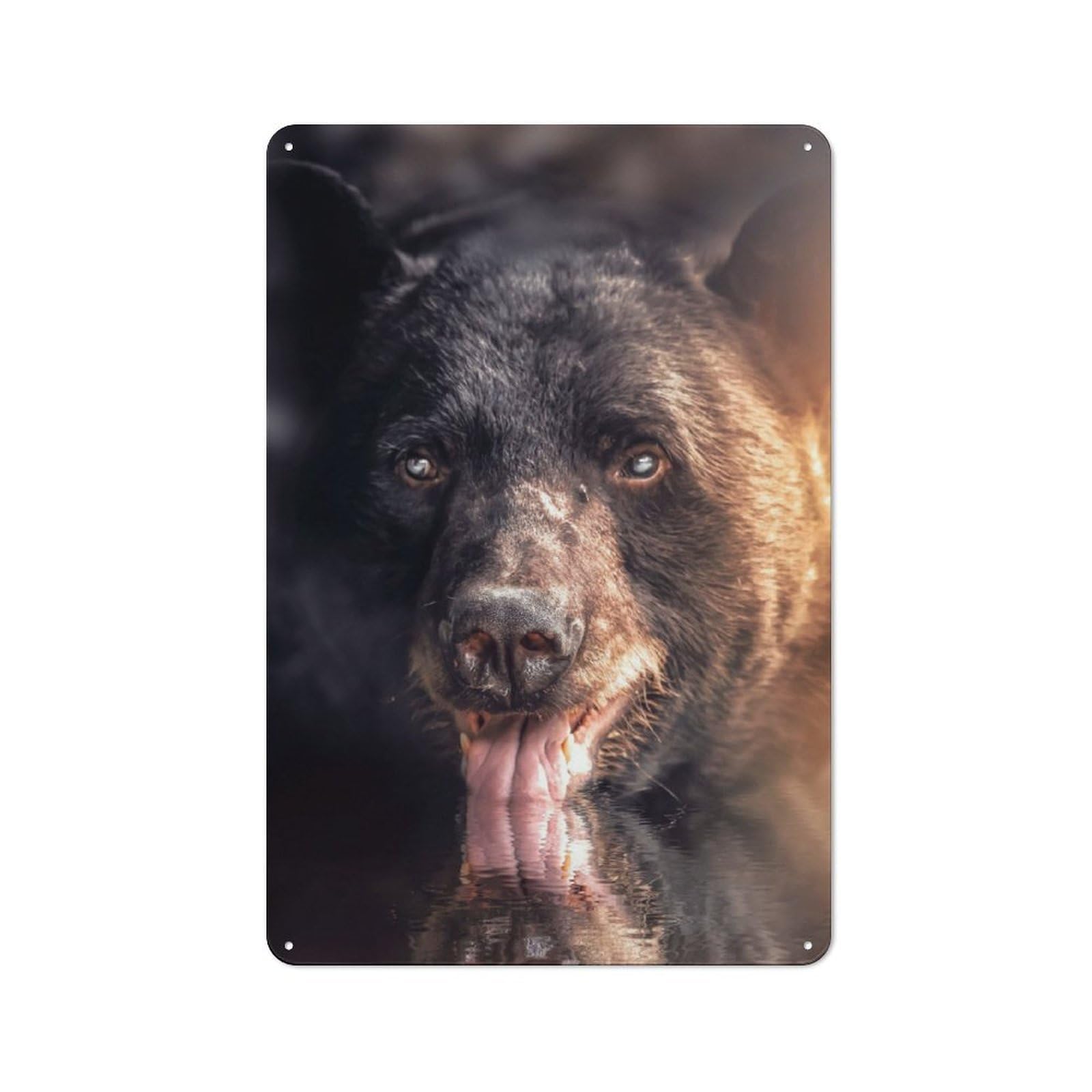 Vintage Metal Sign with Drinking Bear Design 30x20cm, Vintage Bar Wall Plaque for Cafe, Pub, Workshop Or Home Bar