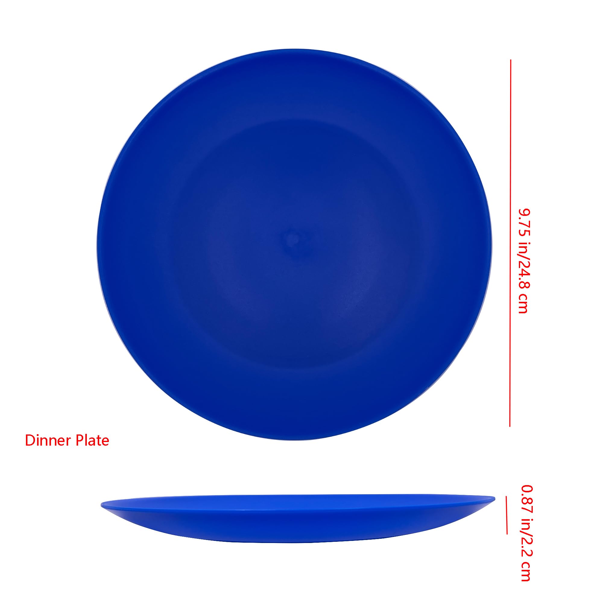 AOYITE Platos de plástico reutilizables, irrompibles, juego de 12, sin BPA, aptos para microondas y lavavajillas, platos de fiesta para cualquier ocasión, barbacoa, viajes, eventos (costero)