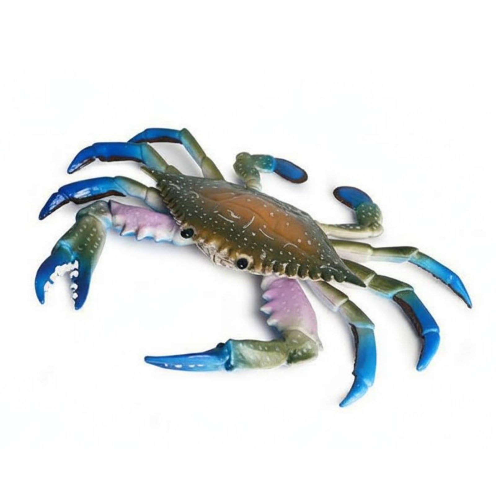 BNF® Realistic Crustacean Model Highly Detailed Three-Mark Toy Oceanic Habitat Creature Decoration Educational, Colorful Crab | Other Marine Life Collectibles Fish &-image-31