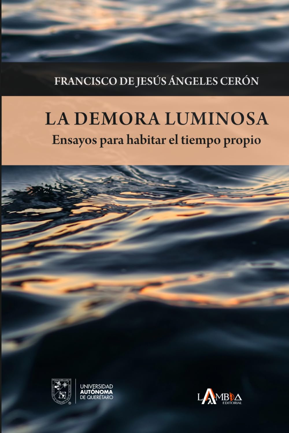 La demora luminosa: Ensayos para habitar el tiempo propio