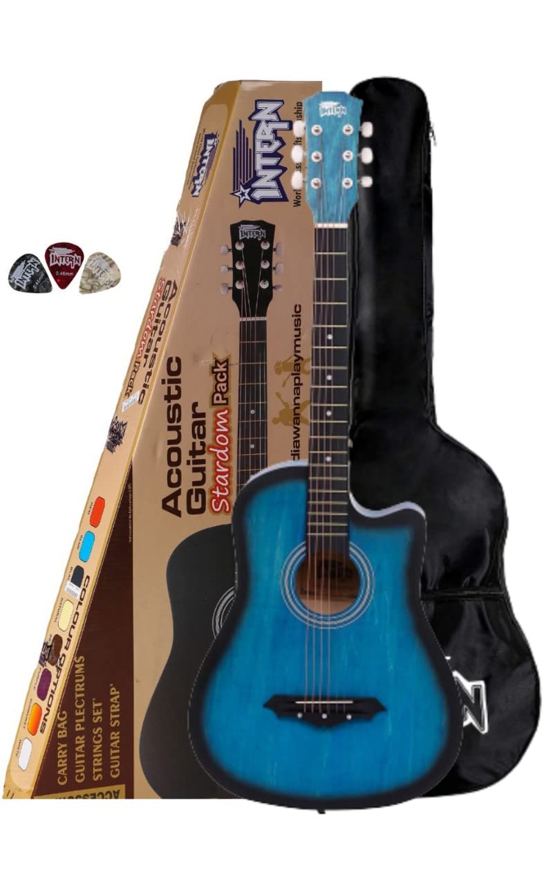 Acoustic Guitar Kits (Lite Package Matt Guitars, Blue)