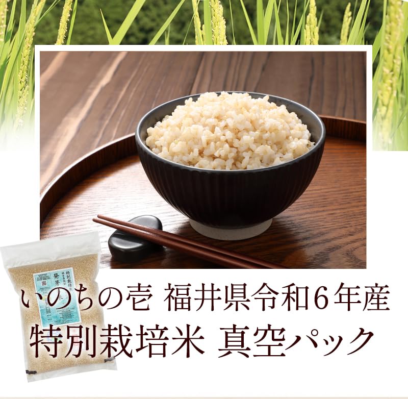 Amazon.co.jp: 発芽玄米 無農薬 いのちの壱 3kg 無洗米 大粒で満足感の